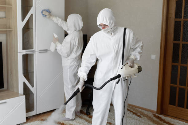 Professional Mold Removal in Fort Polk South, LA